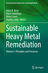 Sustainable Heavy Metal Remediation - 