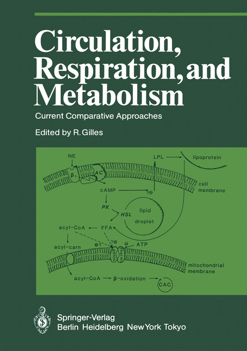 Circulation, Respiration, and Metabolism - 