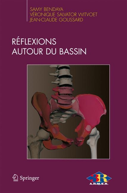 Reflexions Autour Du Bassin - Samy Bendaya