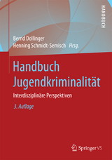 Handbuch Jugendkriminalität - 