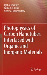 Photophysics of Carbon Nanotubes Interfaced with Organic and Inorganic Materials - Igor A. Levitsky, William B. Euler, Victor A. Karachevtsev