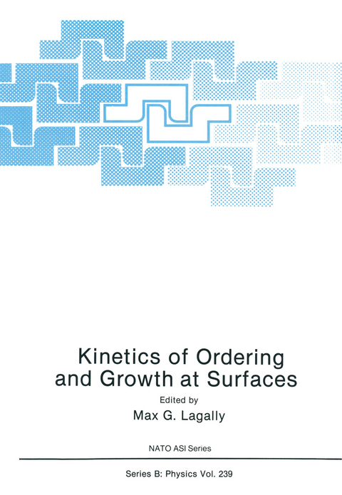 Kinetics of Ordering and Growth at Surfaces - 