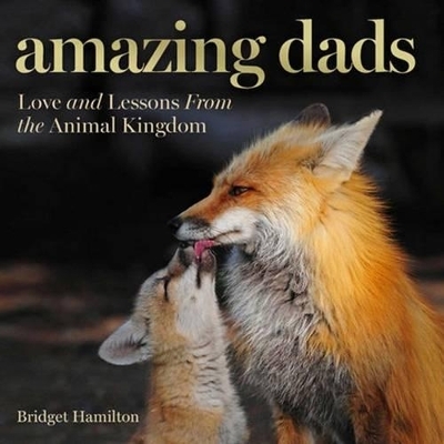 Amazing Dads - Bridget Hamilton