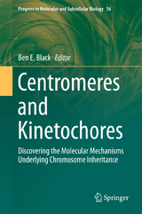 Centromeres and Kinetochores - 