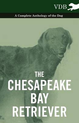 The Chesapeake Bay Retriever - A Complete Anthology of the Dog - -  Various