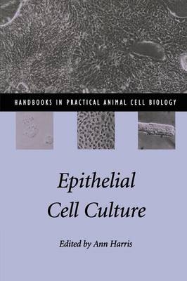 Epithelial Cell Culture - 