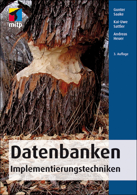 Datenbanken - Gunter Saake, Andreas Heuer, Kai-Uwe Sattler