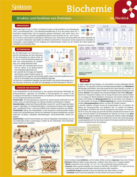 Lerntafel: Biochemie im Überblick