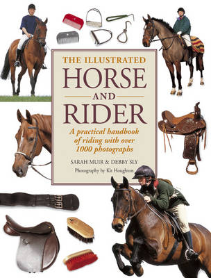 Illustrated Horse and Rider - Sarah Muir