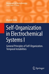 Self-Organization in Electrochemical Systems I - Marek Orlik