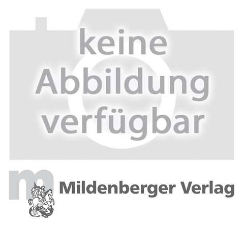 Mathetiger 1 - 1. Schuljahr. Ausgabe für alle Bundesländer / Mathetiger 1 – Arbeitsbeilagen - Matthias Heidenreich, Martina Kinkel-Craciunescu, Thomas Laubis