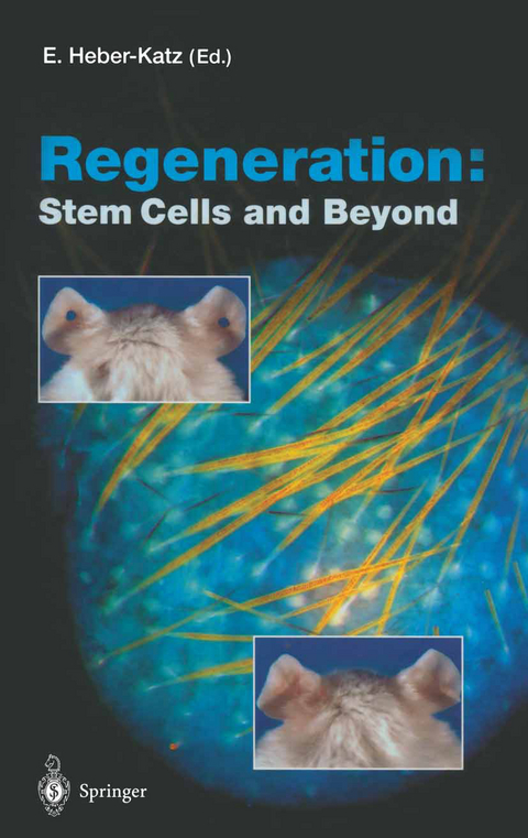 Regeneration: Stem Cells and Beyond - 