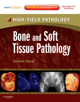 Bone and Soft Tissue Pathology - Andrew Horvai, Thomas Link