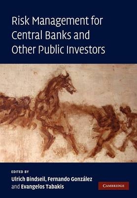 Risk Management for Central Banks and Other Public Investors - 