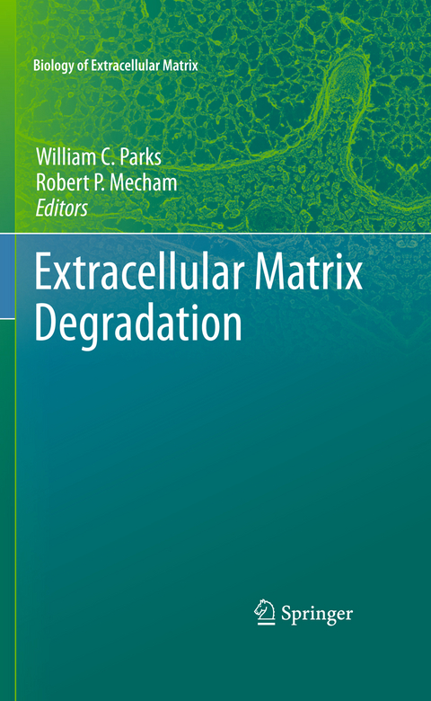 Extracellular Matrix Degradation - 