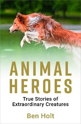 Animal Heroes - Ben Holt