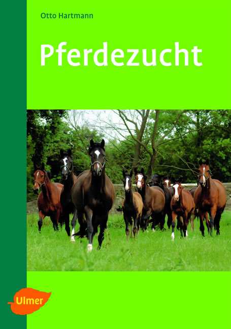 Pferdezucht - Otto Hartmann