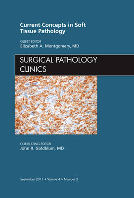 Current Concepts in Soft Tissue Pathology, An Issue of Surgical Pathology Clinics - Elizabeth A Montgomery