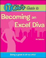 The IT Girl's Guide to Becoming an Excel Diva - Ani Babaian