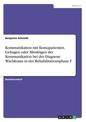 Kommunikation mit Komapatienten. Gelingen oder Misslingen der Kommunikation bei der Diagnose Wachkoma in der Rehabilitationsphase F - Benjamin Schmidt