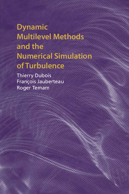 Dynamic Multilevel Methods and the Numerical Simulation of Turbulence - Thierry Dubois, François Jauberteau, Roger Temam