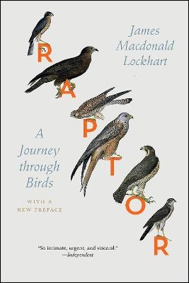 Raptor - James Macdonald Lockhart