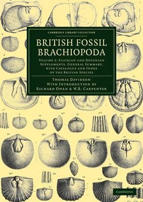 British Fossil Brachiopoda - Thomas Davidson