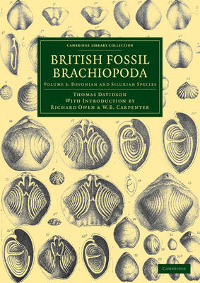 British Fossil Brachiopoda - Thomas Davidson