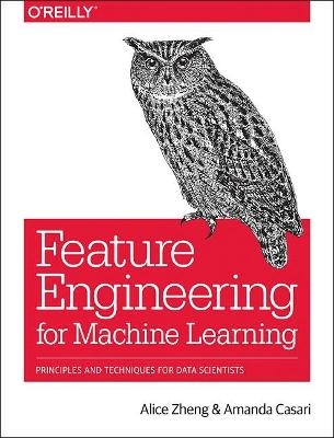 Feature Engineering for Machine Learning - Alice Zheng