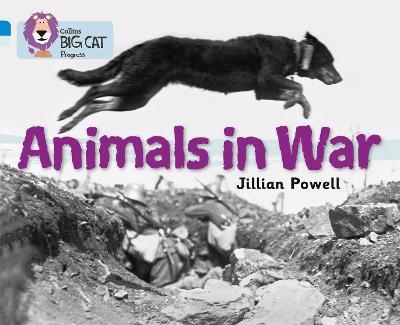 Animals in War - Jillian Powell,  The Imperial War Museum