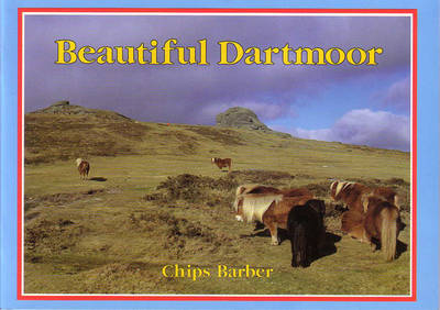 Beautiful Dartmoor - Chips Barber