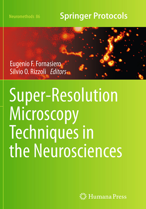 Super-Resolution Microscopy Techniques in the Neurosciences - 