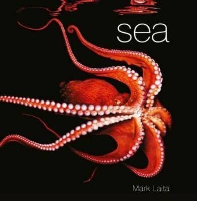 Sea - Mark Laita