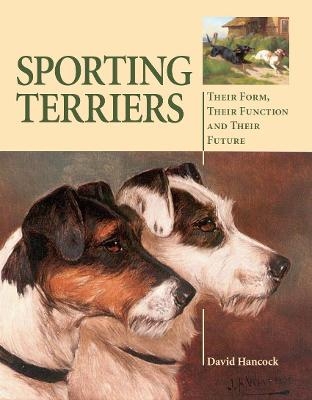 Sporting Terriers - David Hancock