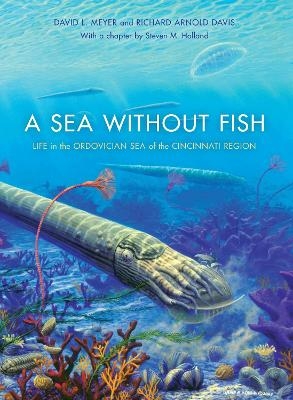 A Sea without Fish - Richard Arnold Davis, David L. Meyer