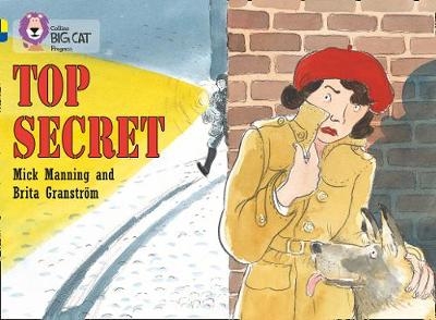 Top Secret - Mick Manning, Brita Granström