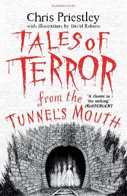 Tales of Terror from the Tunnel's Mouth - Chris Priestley