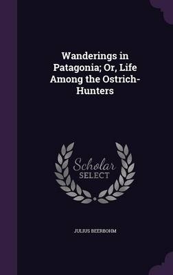 Wanderings in Patagonia; Or, Life Among the Ostrich-Hunters - Julius Beerbohm