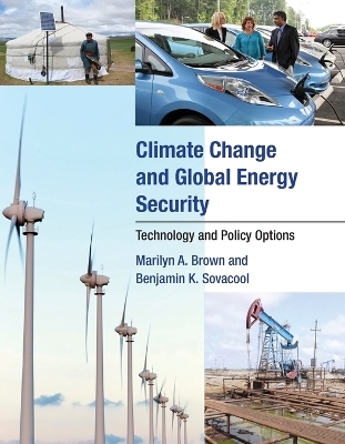 Climate Change and Global Energy Security - Marilyn A. Brown, Benjamin K. Sovacool