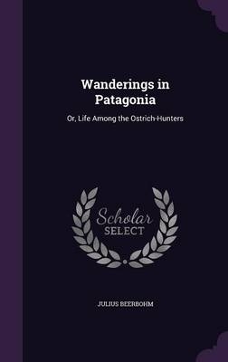 Wanderings in Patagonia - Julius Beerbohm