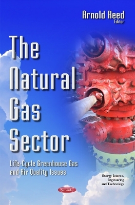 Natural Gas Sector - 