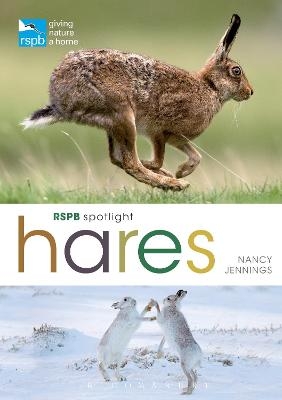 RSPB Spotlight Hares - Nancy Jennings