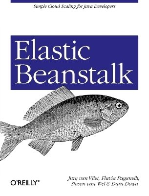 Elastic Beanstalk - Jurg van Vliet