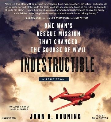 Indestructible - John R Bruning