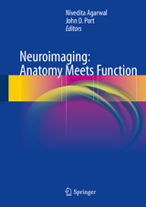 Neuroimaging: Anatomy Meets Function - 