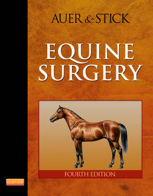 Equine Surgery - Jorg A. Auer, John A. Stick