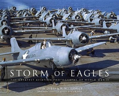 Storm of Eagles - John Dibbs, Kent Ramsey, Lt Col Robert "Cricket" Renner