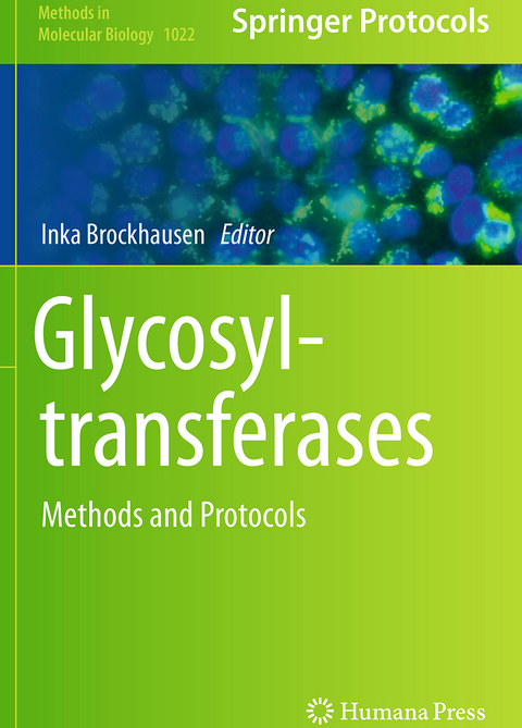 Glycosyltransferases - 