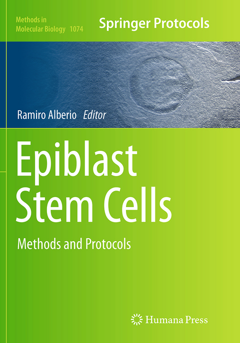 Epiblast Stem Cells - 