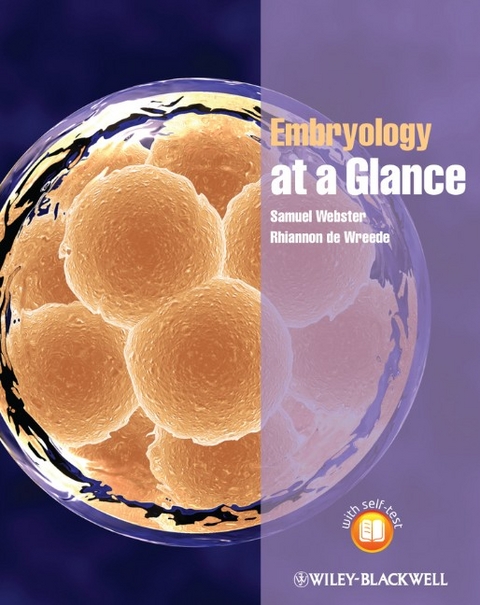 Embryology at a Glance - Samuel Webster, Rhiannon De Wreede